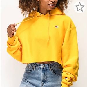 Cropped Champion Hoodie